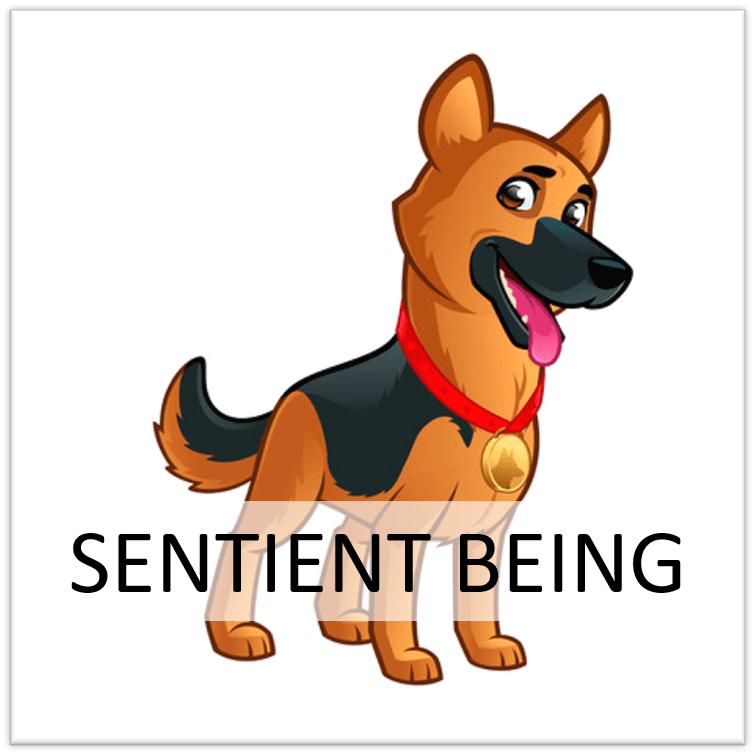 Animals in Spain awarded new legal status as ‘sentient beings’ - Sentient Steps