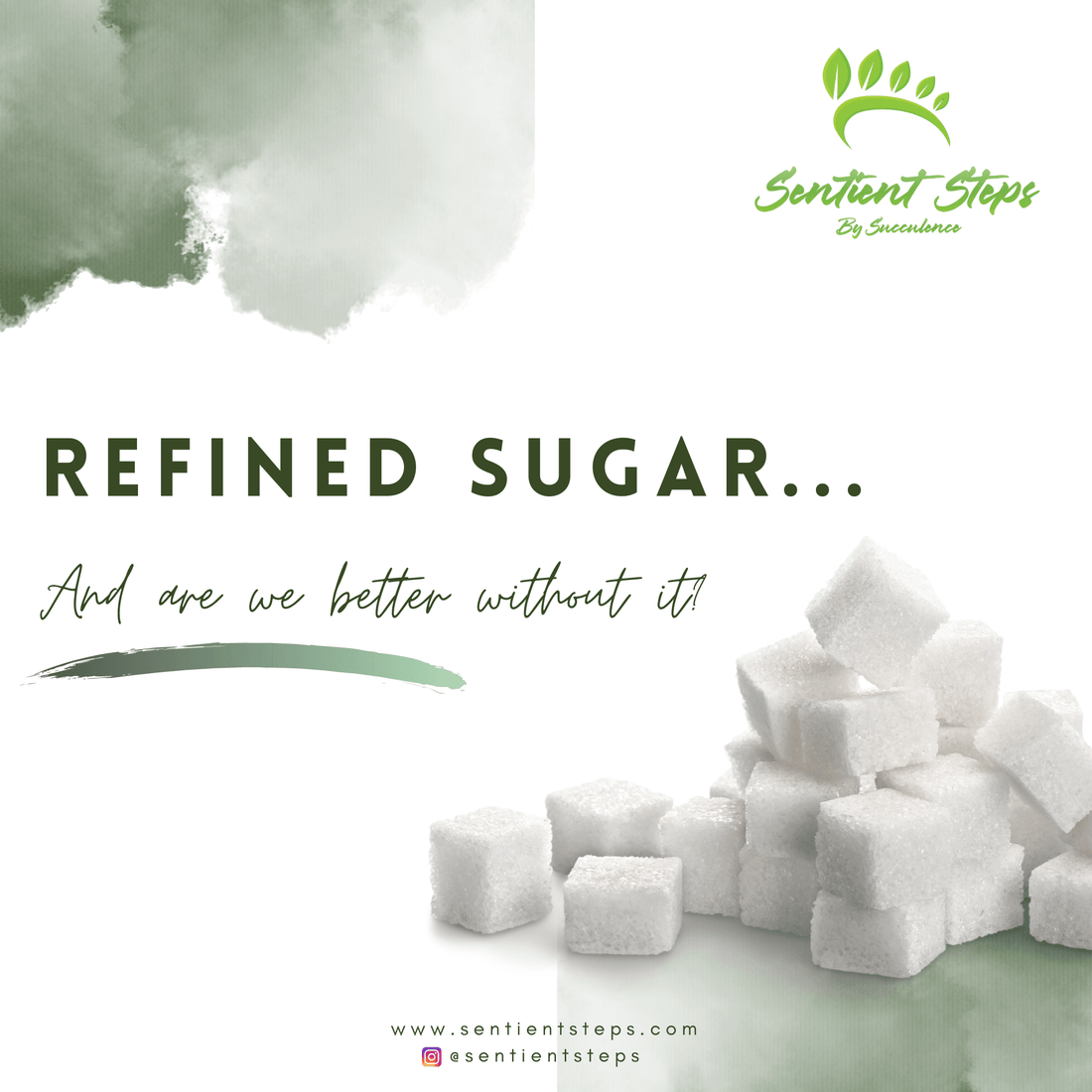 Refined sugar…And are we better without it? - Sentient Steps