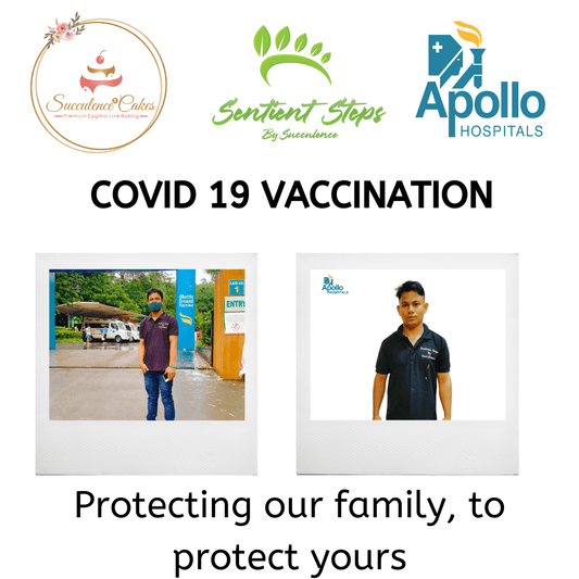Our entire staff has taken their vaccines - Sentient Steps, Navi Mumbai