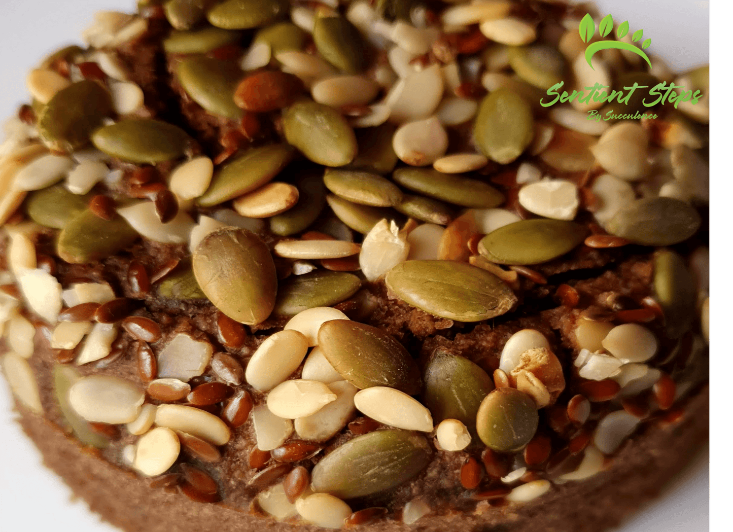 Gluten-Free Protein Rich Nut & Seed Cake - Sentient Steps - Healthy Vegan Cakes